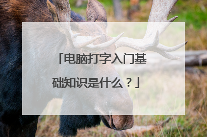 电脑打字入门基础知识是什么？