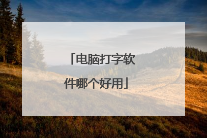 电脑打字软件哪个好用