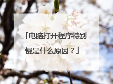 电脑打开程序特别慢是什么原因?