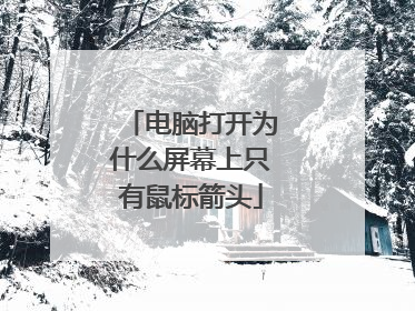 电脑打开为什么屏幕上只有鼠标箭头