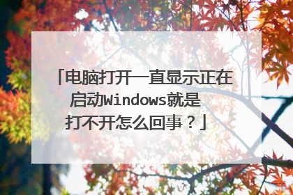 电脑打开一直显示正在启动Windows就是打不开怎么回事？