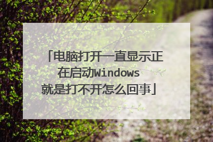 电脑打开一直显示正在启动Windows就是打不开怎么回事