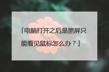 电脑打开之后是黑屏只能看见鼠标怎么办？