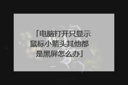 电脑打开只显示鼠标小箭头其他都是黑屏怎么办