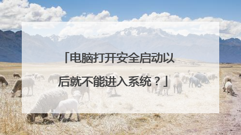 电脑打开安全启动以后就不能进入系统?
