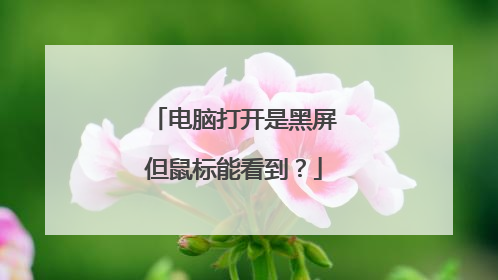 电脑打开是黑屏但鼠标能看到？
