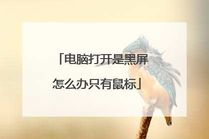 电脑打开是黑屏怎么办只有鼠标