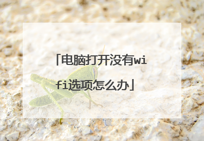 电脑打开没有wifi选项怎么办
