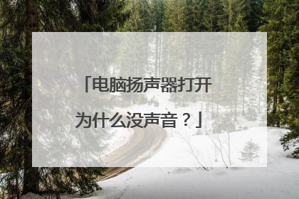 电脑扬声器打开为什么没声音？
