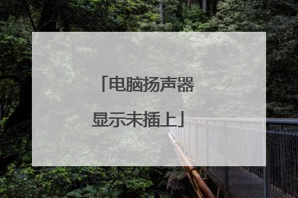 电脑扬声器显示未插上