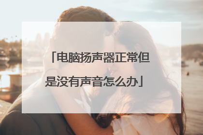 电脑扬声器正常但是没有声音怎么办