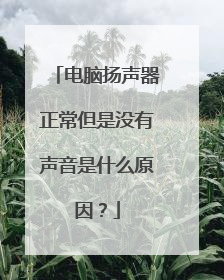 电脑扬声器正常但是没有声音是什么原因？