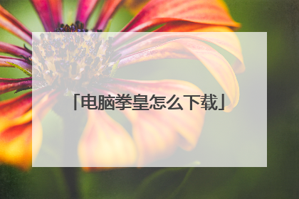 电脑拳皇怎么下载