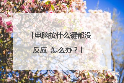 电脑按什么键都没反应 怎么办?