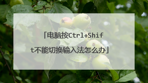 电脑按Ctrl+Shift不能切换输入法怎么办