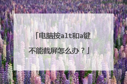 电脑按alt和a键不能截屏怎么办？