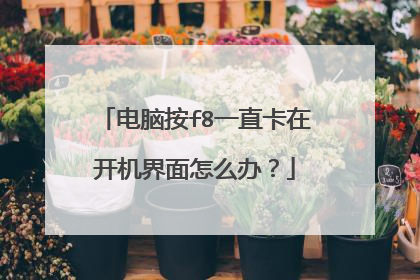 电脑按f8一直卡在开机界面怎么办?