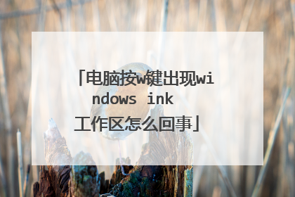 电脑按w键出现windows ink 工作区怎么回事
