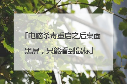 电脑杀毒重启之后桌面黑屏,只能看到鼠标