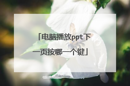 电脑播放ppt下一页按哪一个键