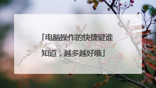 电脑操作的快捷键谁知道,越多越好哦
