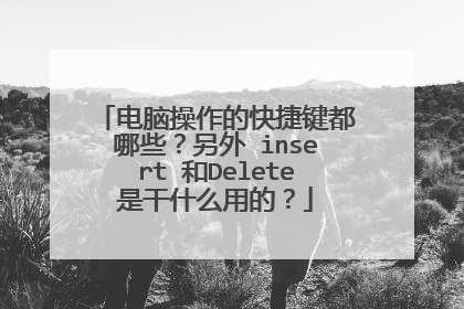 电脑操作的快捷键都哪些？另外 insert 和Delete是干什么用的？