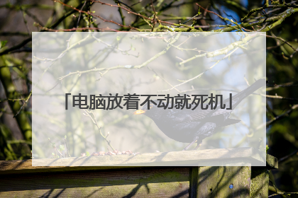 电脑放着不动就死机