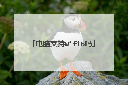 电脑支持wifi6吗