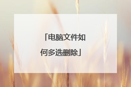 电脑文件如何多选删除