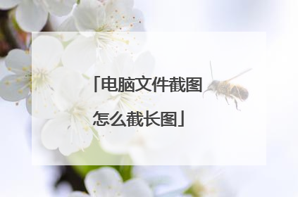 电脑文件截图怎么截长图