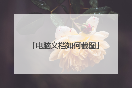 电脑文档如何截图