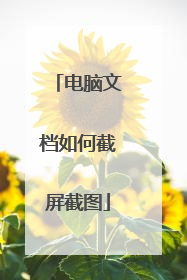 电脑文档如何截屏截图