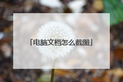 电脑文档怎么截图