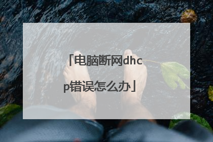 电脑断网dhcp错误怎么办