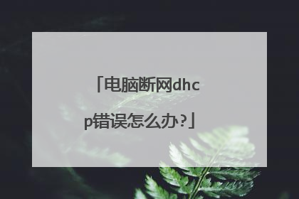 电脑断网dhcp错误怎么办?