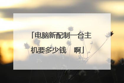 电脑新配制一台主机要多少钱 啊
