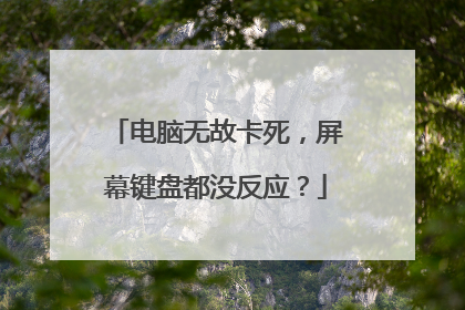 电脑无故卡死,屏幕键盘都没反应?