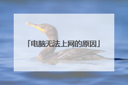 电脑无法上网的原因