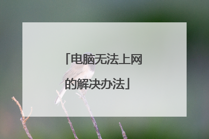 电脑无法上网的解决办法