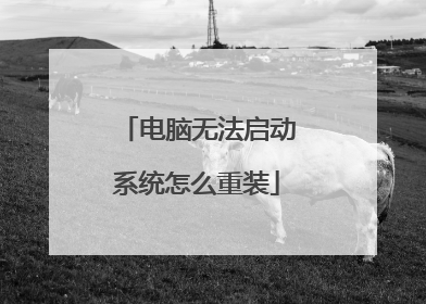 电脑无法启动系统怎么重装
