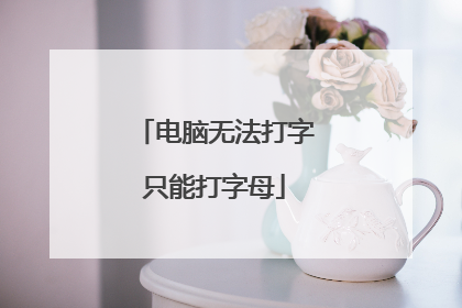 电脑无法打字只能打字母