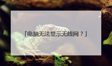 电脑无法显示无线网?