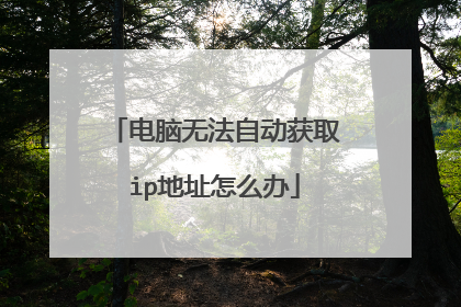 电脑无法自动获取ip地址怎么办