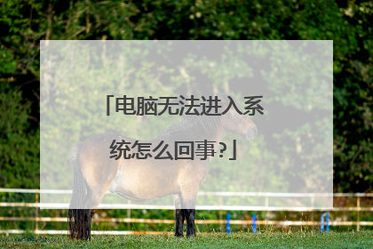 电脑无法进入系统怎么回事?