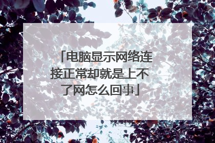 电脑显示网络连接正常却就是上不了网怎么回事