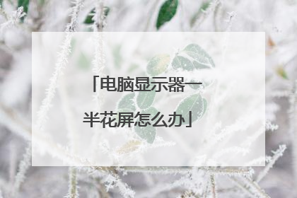 电脑显示器一半花屏怎么办