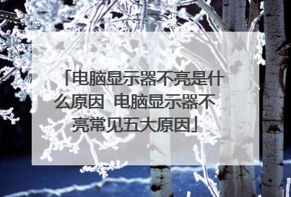 电脑显示器不亮是什么原因 电脑显示器不亮常见五大原因