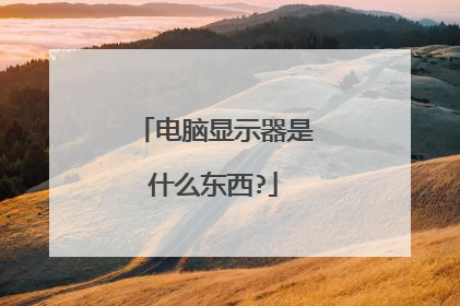 电脑显示器是什么东西?