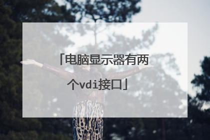 电脑显示器有两个vdi接口