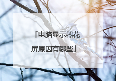 电脑显示器花屏原因有哪些